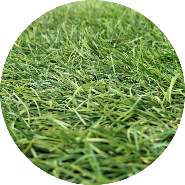 flattened artificial grass