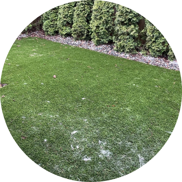 dirty debris artificial grass